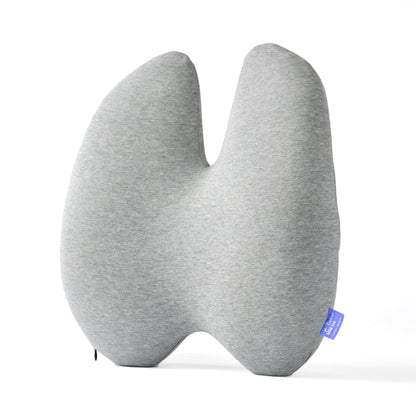 Cozy Comfort Back Pillow