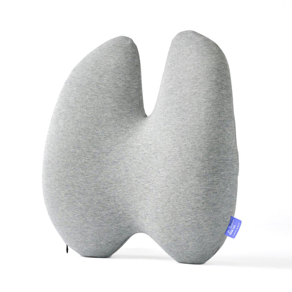 Cozy Comfort Back Pillow